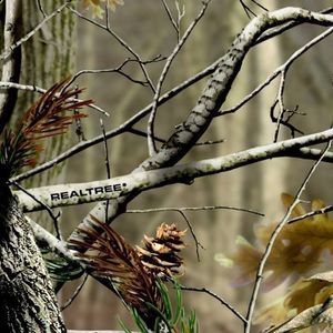 Meet your Posher, Krista